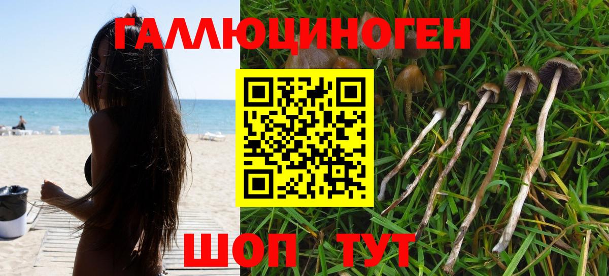 Галлюциногенные грибы мухоморы  Вход с VPN  Екатеринбург 