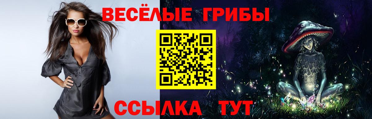 Галлюциногенные грибы Magic Shrooms Екатеринбург